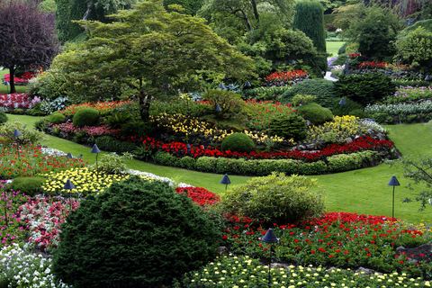 Taman formal dengan bunga dan semak hias
